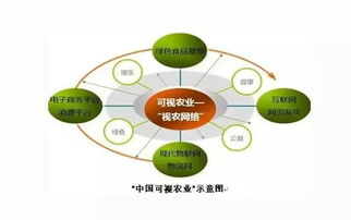 會呼吸的可視田 探秘互聯網賦能的生態農業新價值鏈